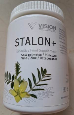  STALON + VISION